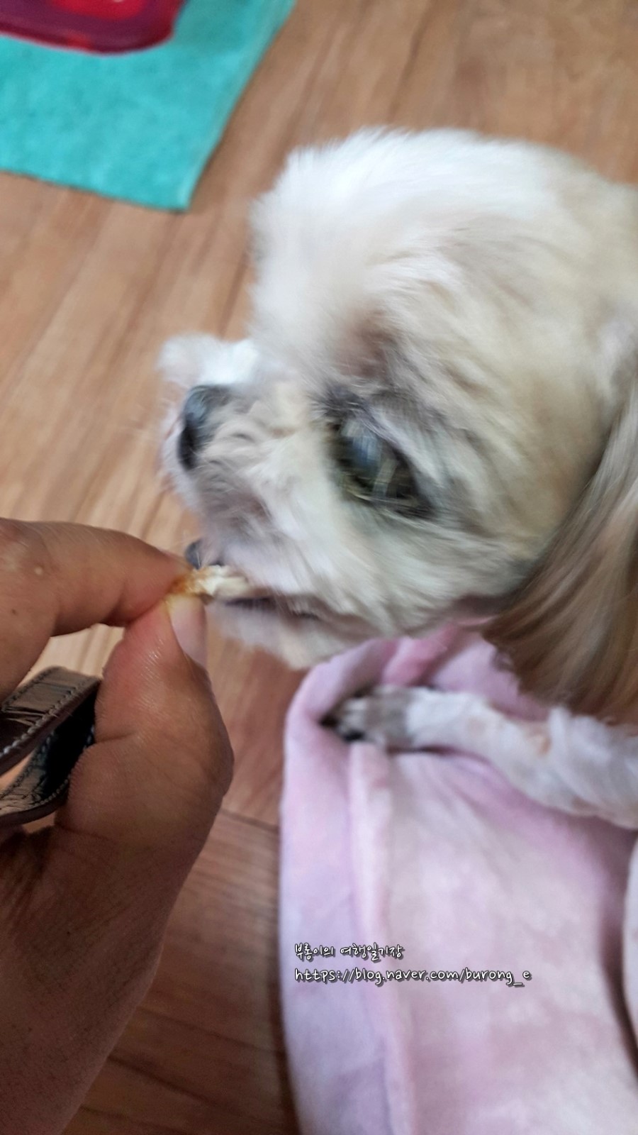 양동통닭 이미지