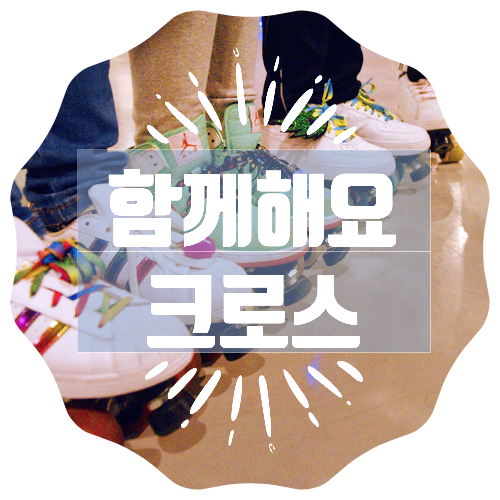 장유 크로스 롤러 이미지