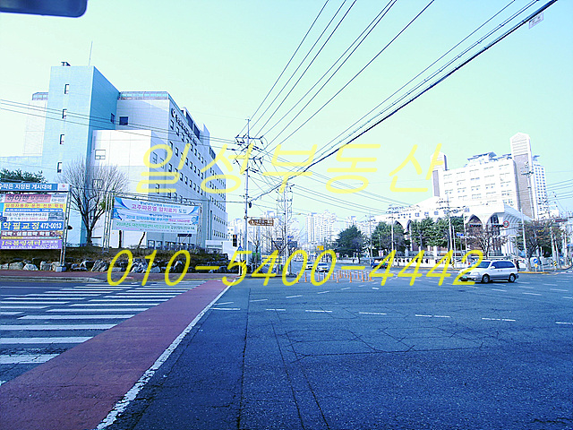 ÀϼººÎµ¿»ê,_Ãæ³²´ëº´¿ø»ó°¡,_¼´ëÀü³×°Å¸®»ó°¡,_´ë»çµ¿»ó°¡,_´ëÀü»ó°¡ÀÓ´ë,_»ó°¡ÀÓ´ë,_ÆíÀÇÁ¡,_²ÉÁý,_´ëÀü»ó°¡¸Å¸ÅÀÓ´ë¡Ú´ëÀü»ó°¡¸Å¸Å¡Ú´ëÀü»ó°¡.jpg