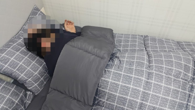 아르셀라 이미지