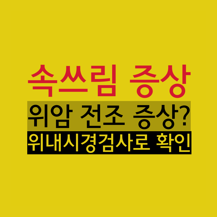 의왕속내과 이미지