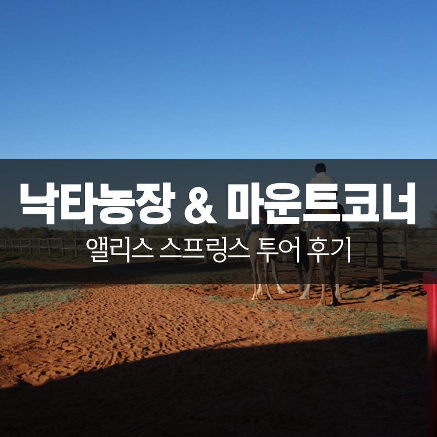 앨리스스프링스 이미지