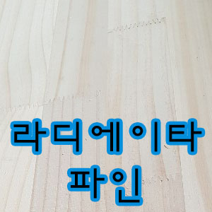 주이레유통 이미지