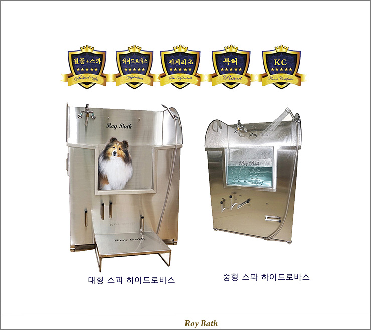 로이특허 이미지