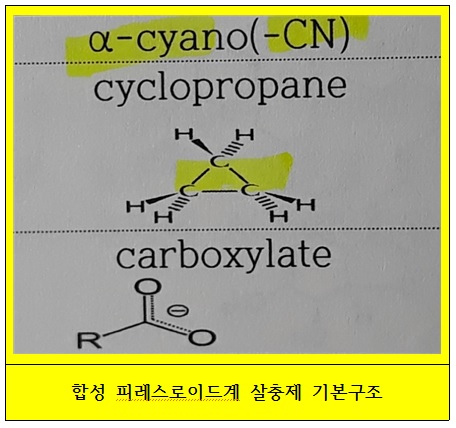 메트린 이미지