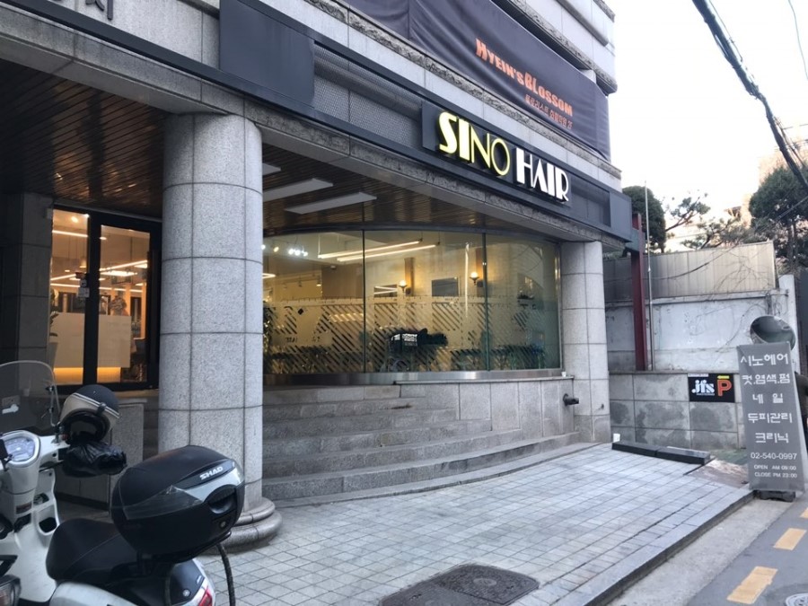 시노헤어 이미지