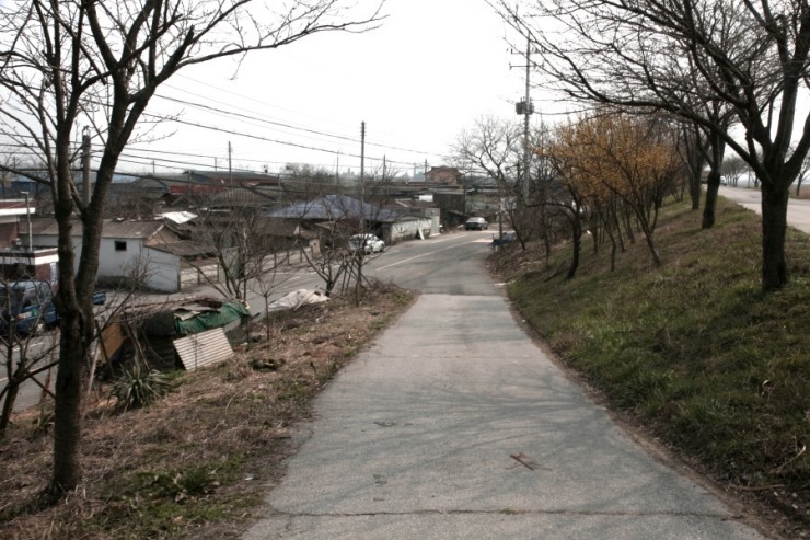 세운떡집 이미지