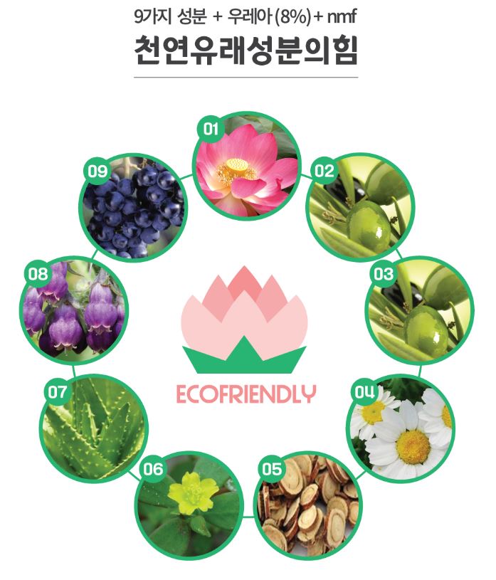 미송 코스메틱 이미지