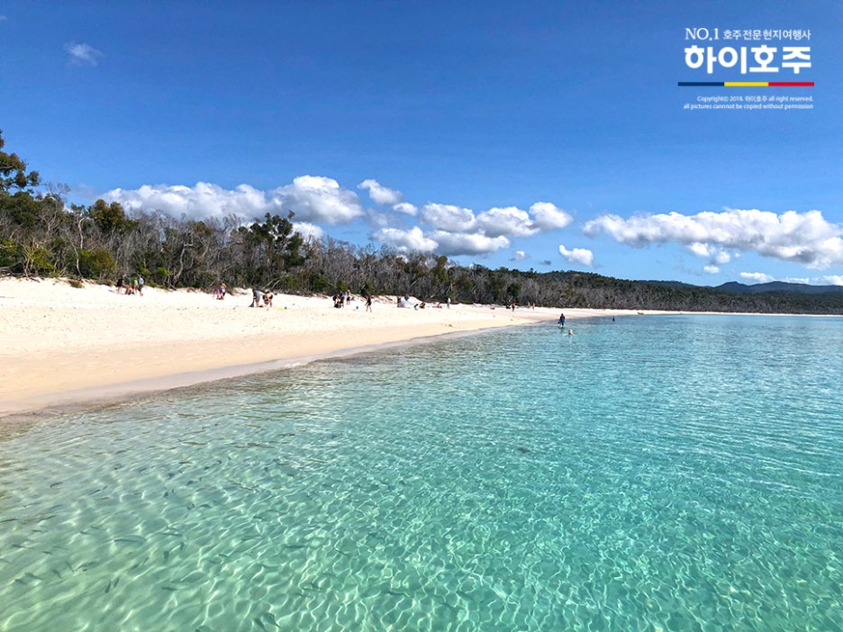 호주 최고의 해변, 해밀턴아일랜드 화이트헤븐 비치 (Whitehaven Beach) 투어 후기 : 네이버 블로그