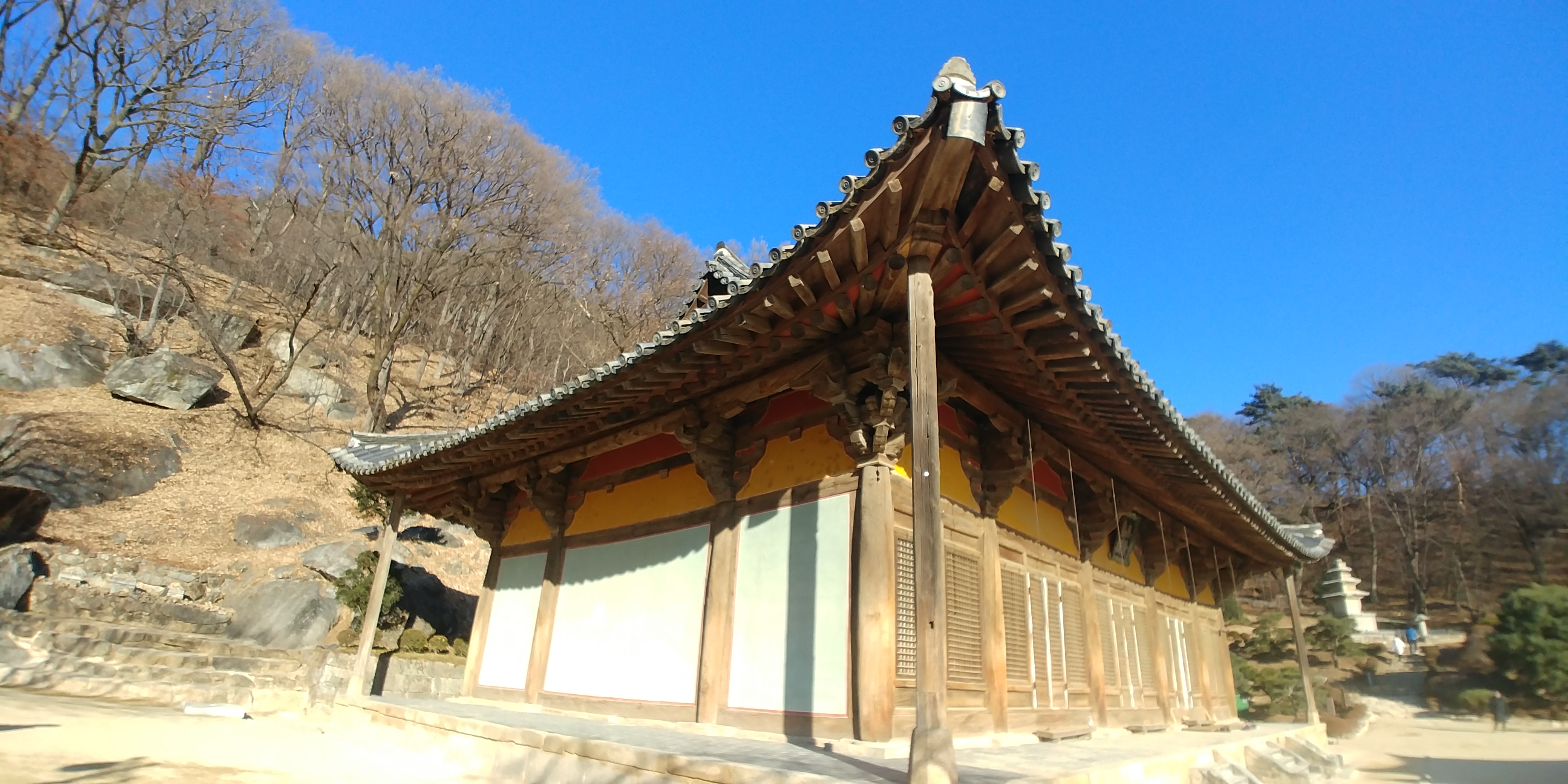 선차이 이미지