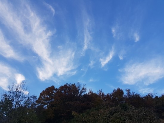 오창스포츠토토 이미지