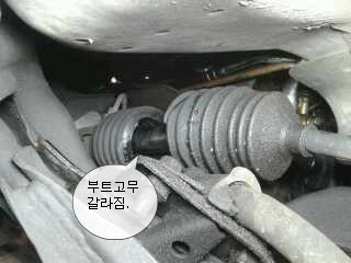 링키지 이미지