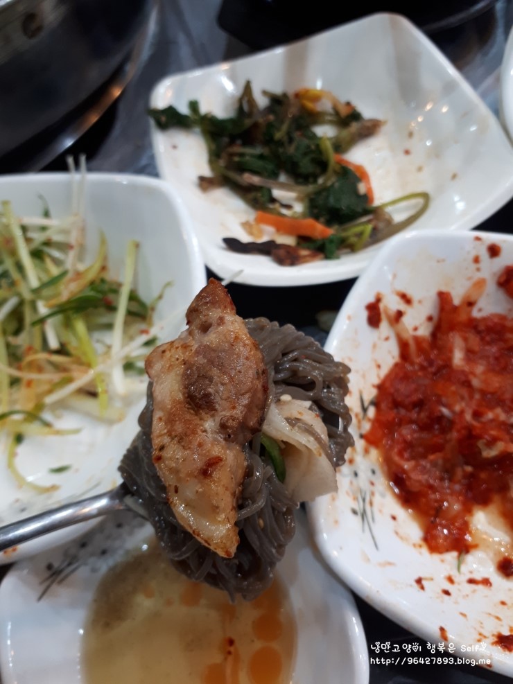 행운애 이미지