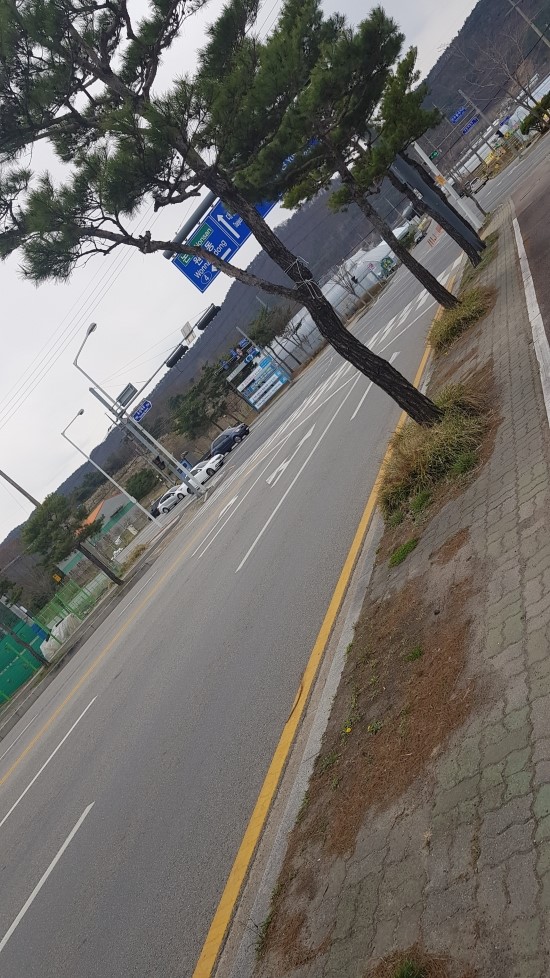 유성종합유통 이미지