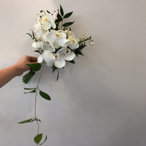 오블리 이미지