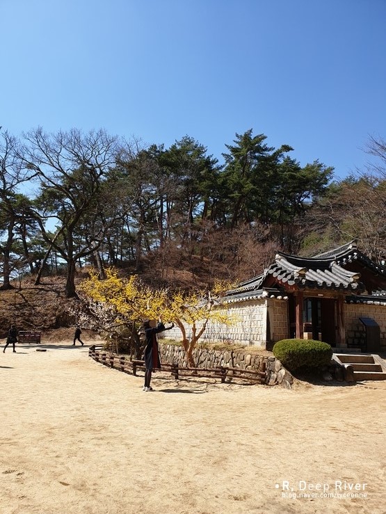 서원컴퍼니 이미지