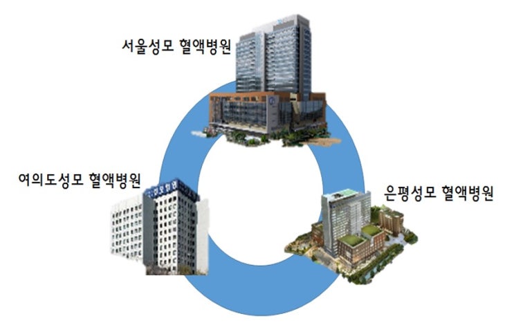 학교법인가톨릭학원(여의도성모병원) 이미지