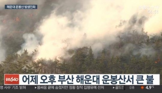 쌍용정비공업사 이미지