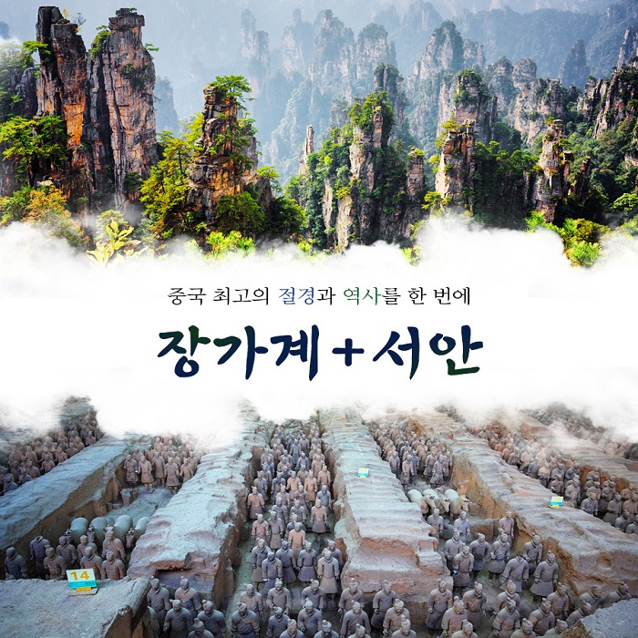 매일관광여행사 이미지