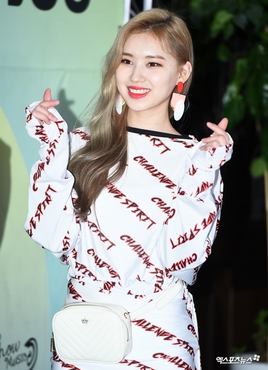 엘리정보 이미지
