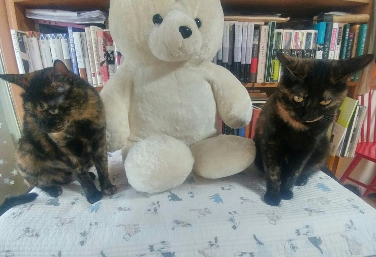 백*원 이미지