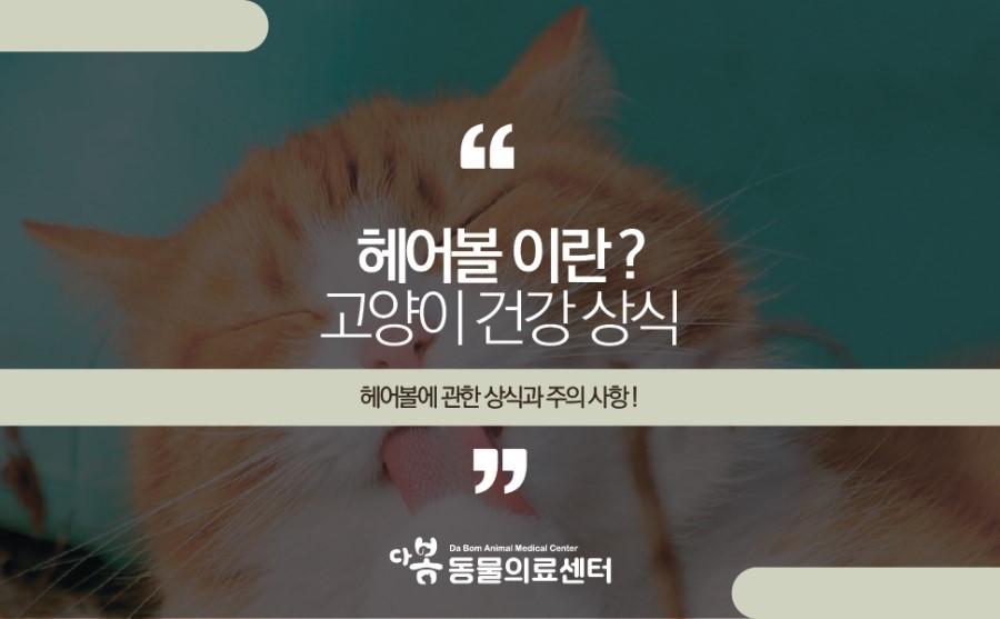 다봄헤어 이미지
