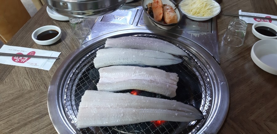 불끈장어 이미지