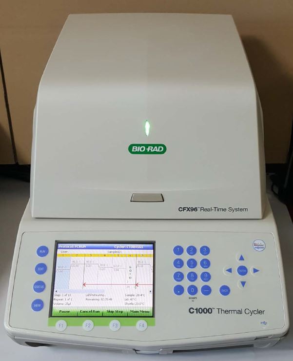 CFX96 Real-Time PCR System-IVD : 네이버 블로그