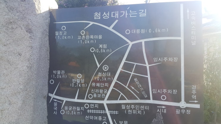 울타리손칼국수 이미지