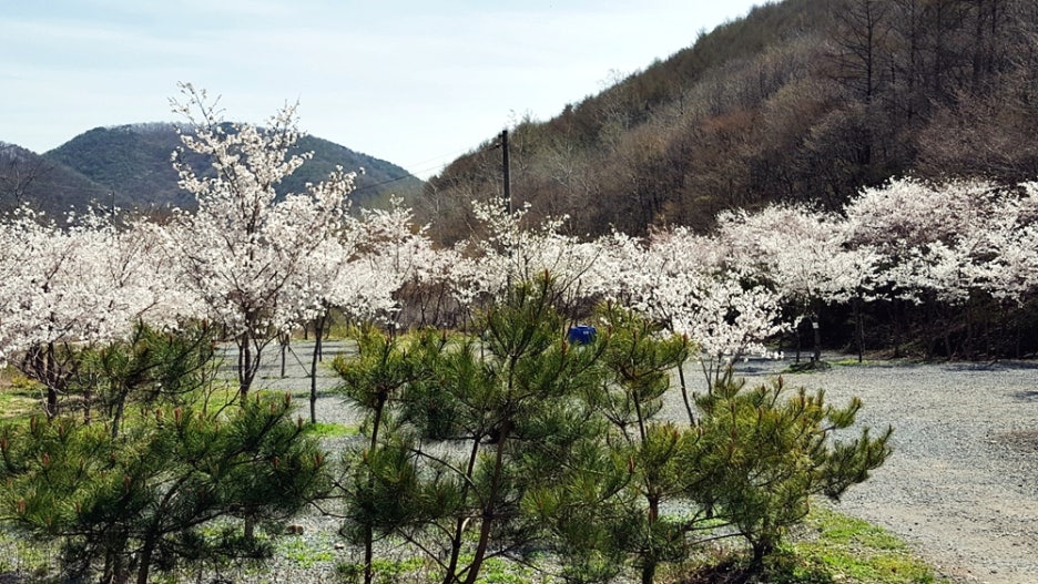 곤달비캠프 이미지