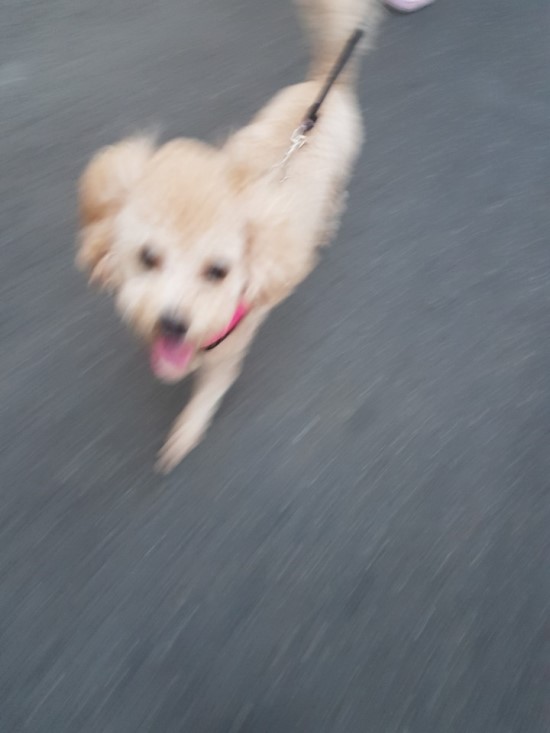 퍼머넌트 이미지