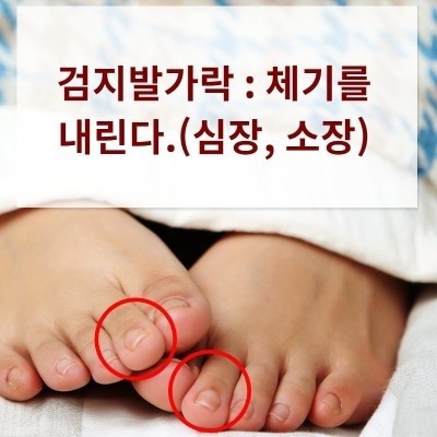 다섯발가락 이미지