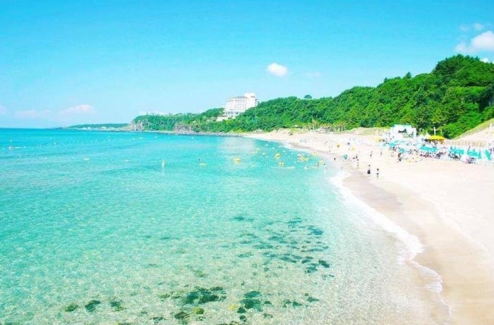 제주도 이미지