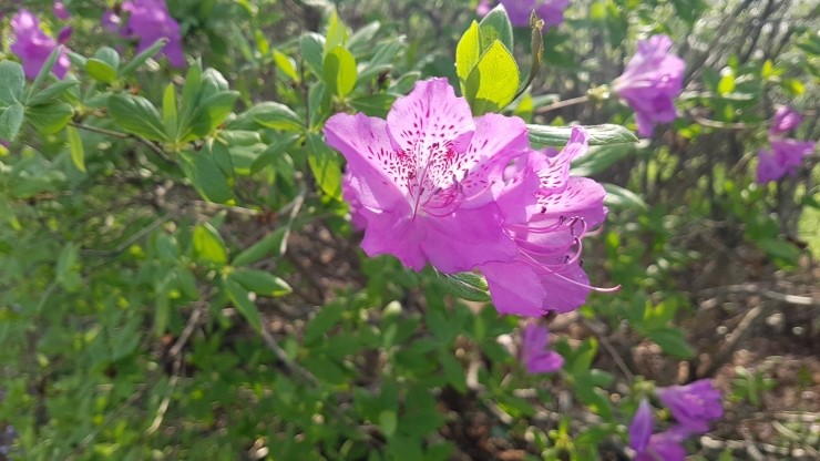 서부산IC(사상) 이미지