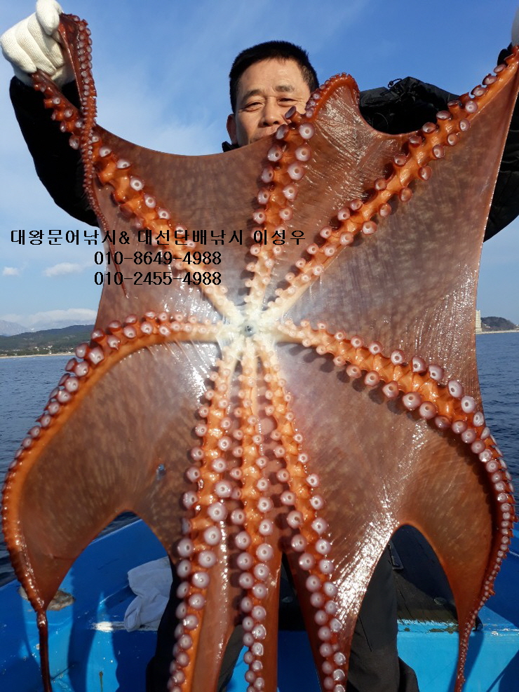 서해왕낚시 이미지