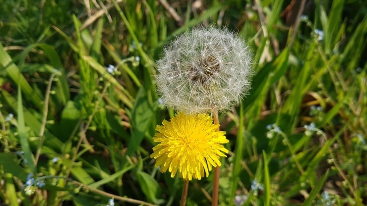 서부산IC(사상) 이미지