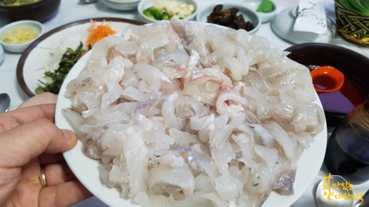 망경장어 이미지