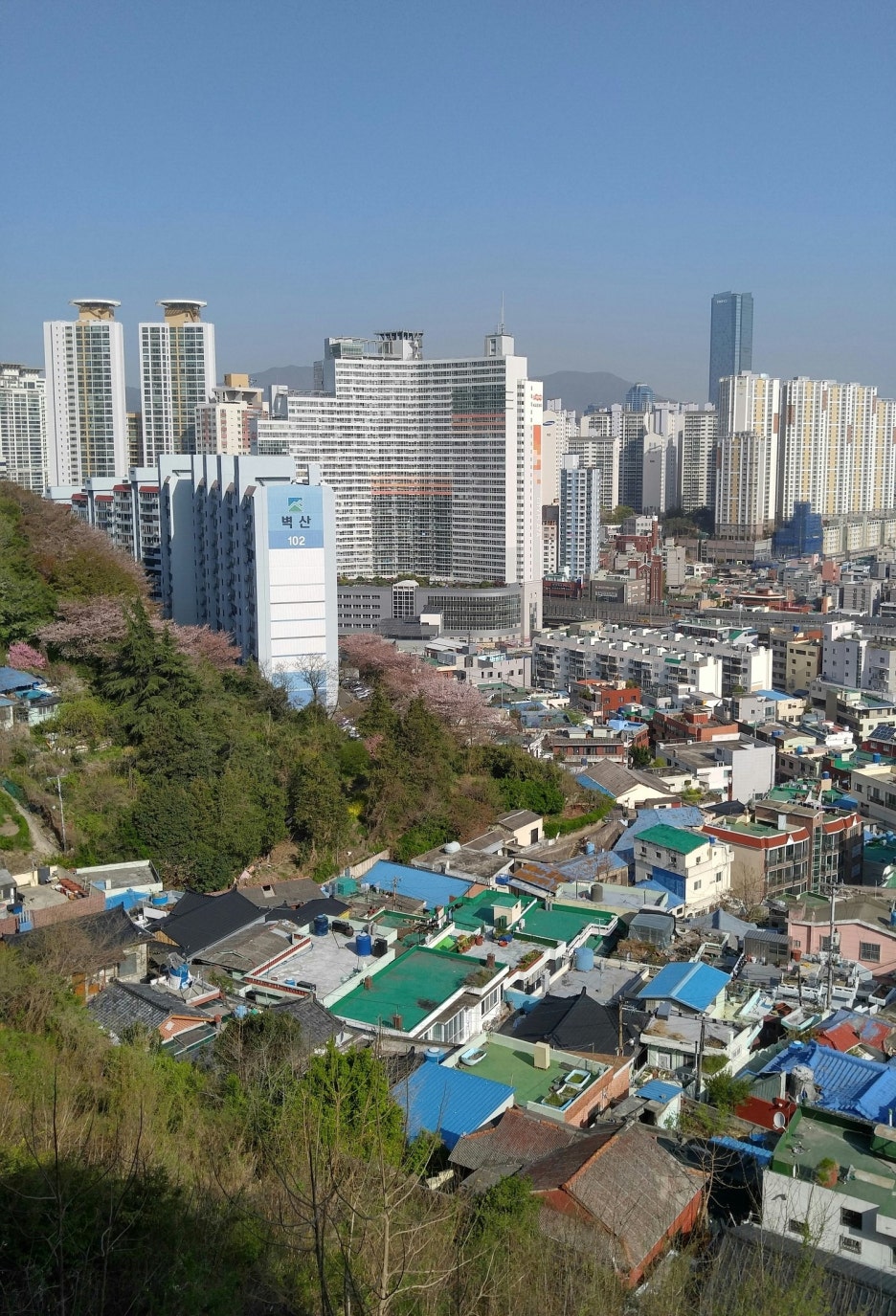 대양통신 이미지