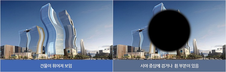 블루페퍼 안경 망원점 이미지