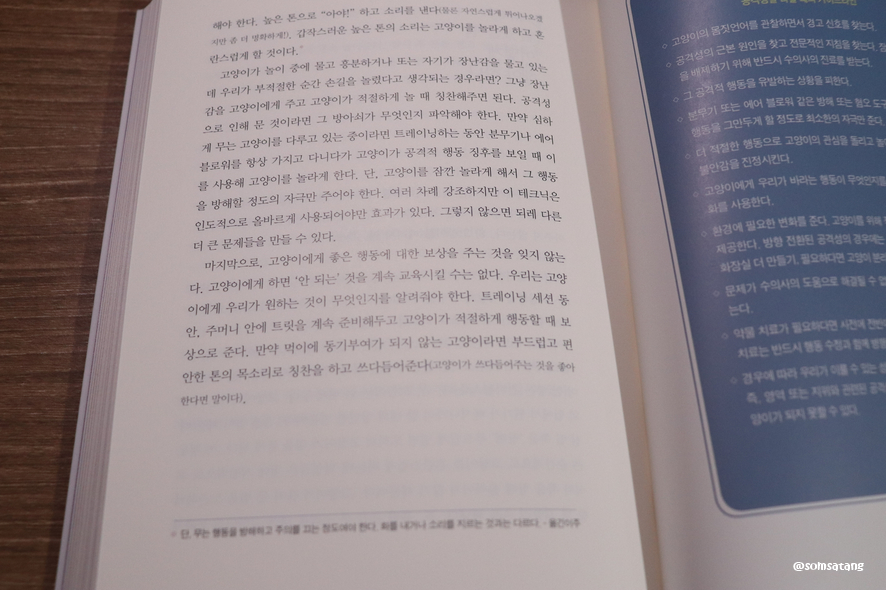 슬기로운다묘생활_(36).JPG