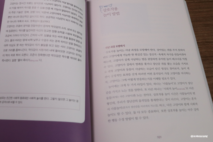 슬기로운다묘생활_(28).JPG