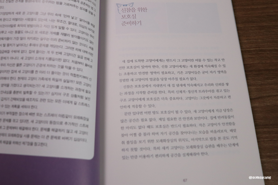 슬기로운다묘생활_(23).JPG