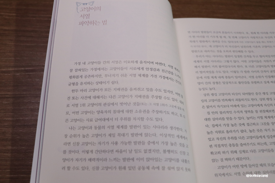 슬기로운다묘생활_(15).JPG
