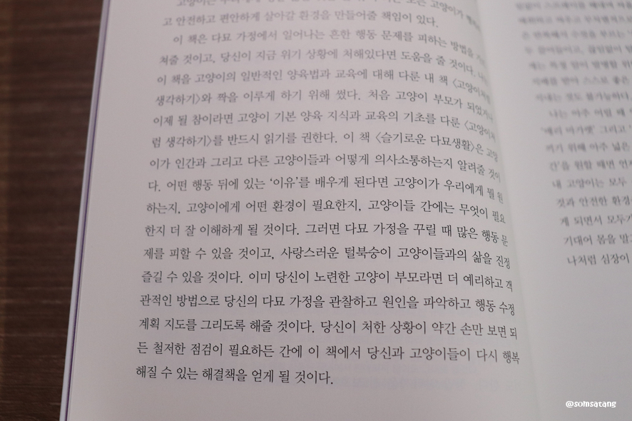 슬기로운다묘생활_(9).JPG