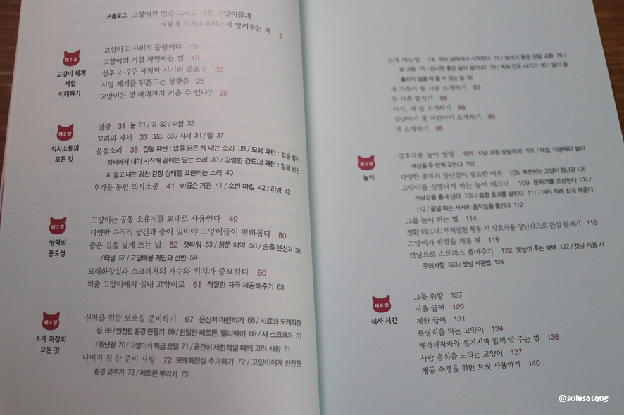 슬기로운다묘생활_(11).JPG