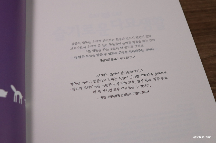 슬기로운다묘생활_(8).JPG