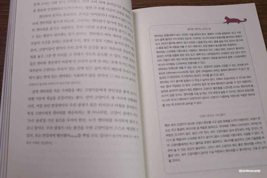 슬기로운다묘생활_(21).JPG