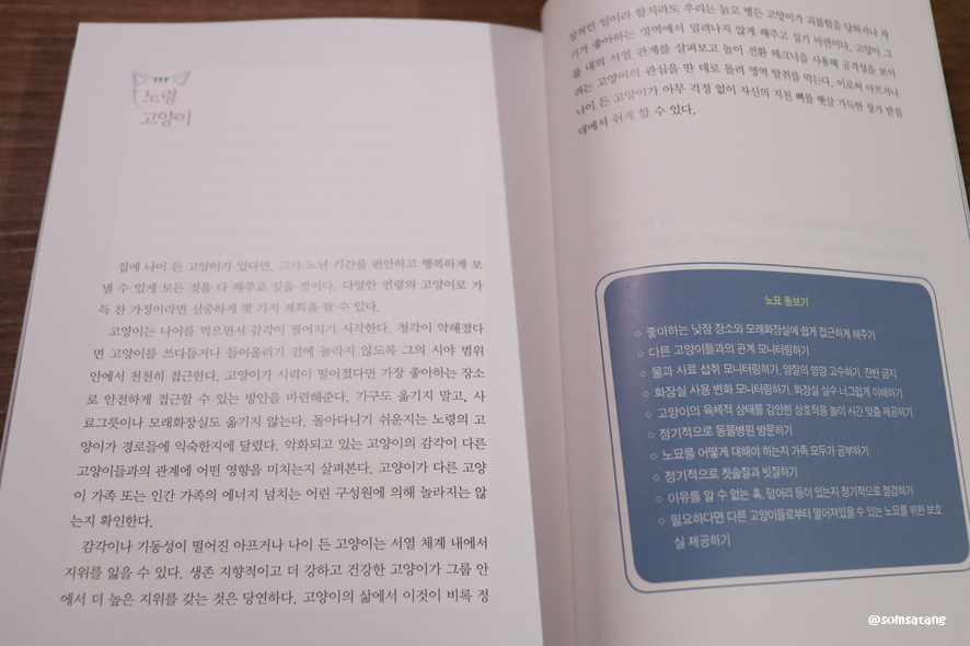 슬기로운다묘생활_(38).JPG