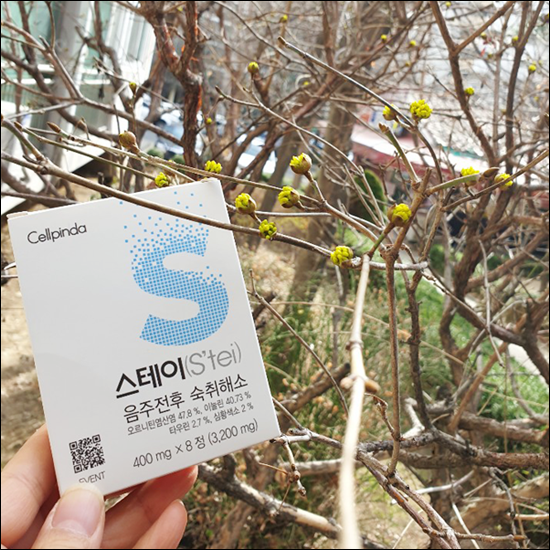 주식회사 셀핀다 이미지