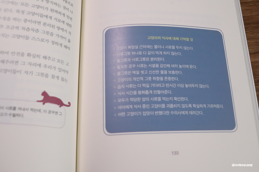슬기로운다묘생활_(29).JPG
